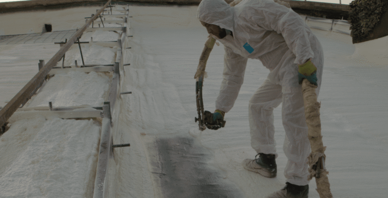 7657546 e1677250197671